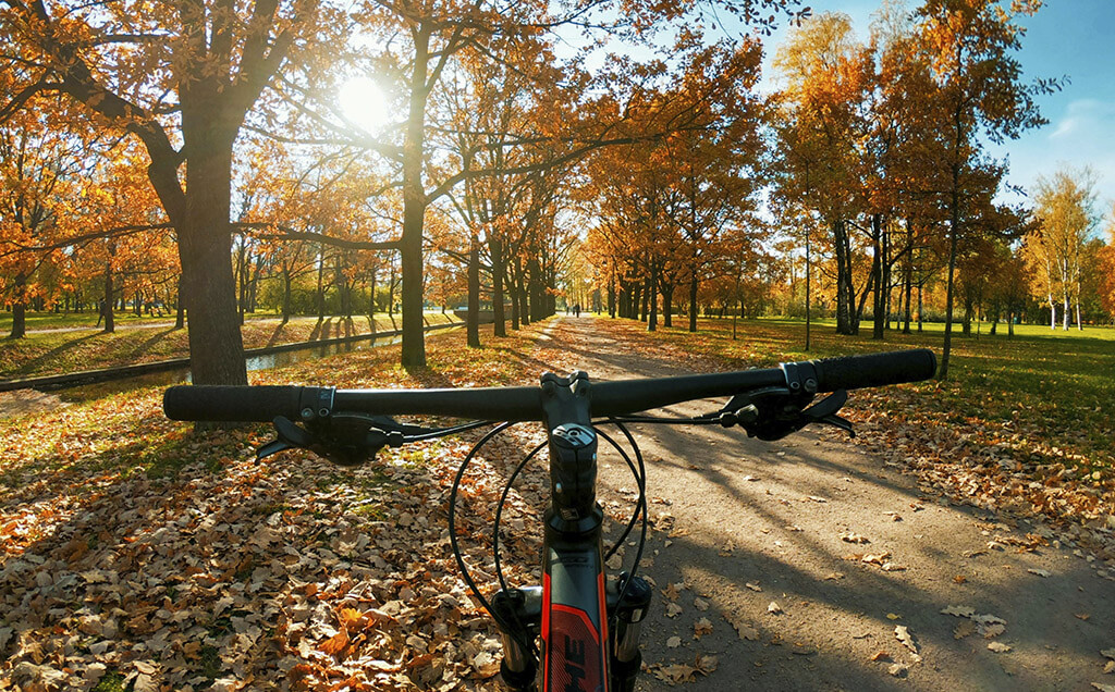 bike_autumn